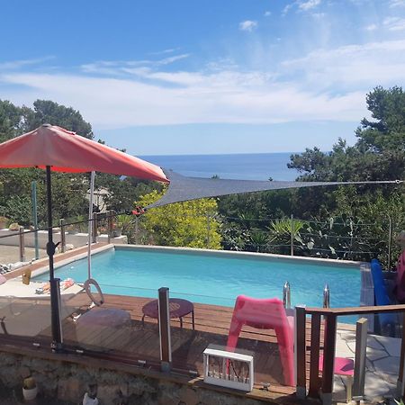 Haut De Villa Au Mont St Clair Vue Exceptionnelle Mer Et Foret Terrasses, Piscine, Petanque, Solarium Prives Сет Экстерьер фото