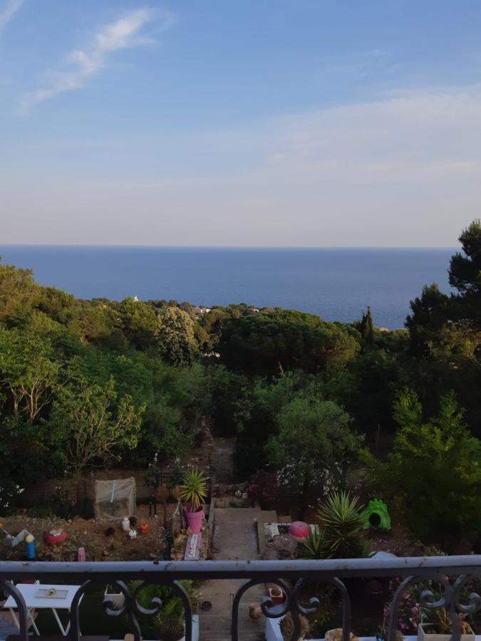 Haut De Villa Au Mont St Clair Vue Exceptionnelle Mer Et Foret Terrasses, Piscine, Petanque, Solarium Prives Сет Экстерьер фото
