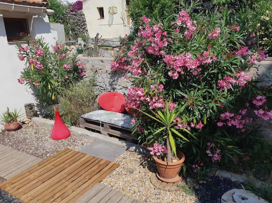 Haut De Villa Au Mont St Clair Vue Exceptionnelle Mer Et Foret Terrasses, Piscine, Petanque, Solarium Prives Сет Экстерьер фото