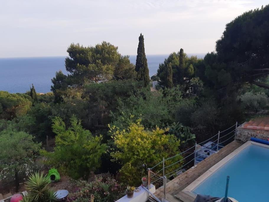 Haut De Villa Au Mont St Clair Vue Exceptionnelle Mer Et Foret Terrasses, Piscine, Petanque, Solarium Prives Сет Экстерьер фото