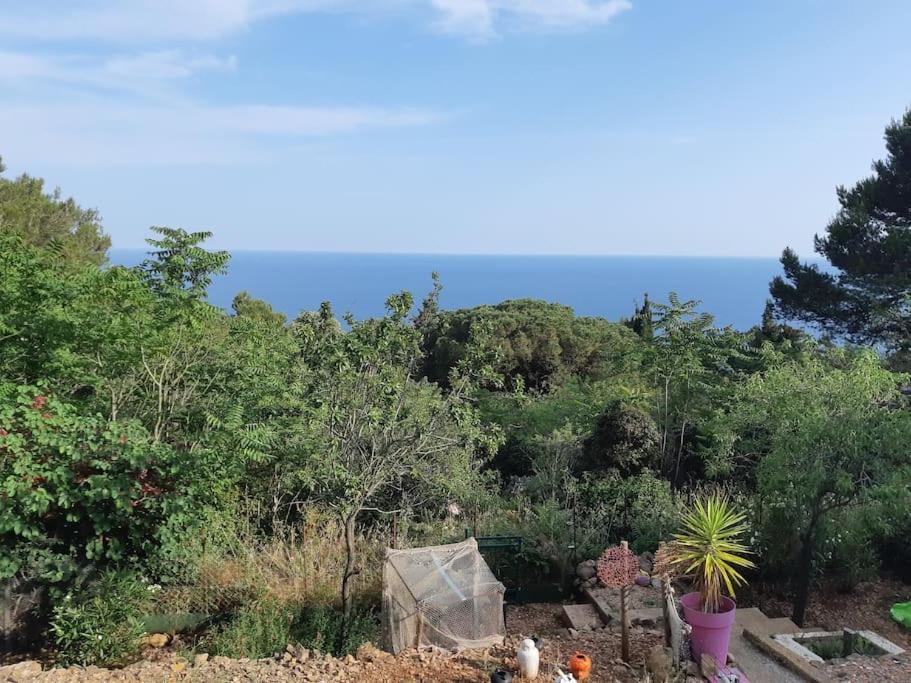 Haut De Villa Au Mont St Clair Vue Exceptionnelle Mer Et Foret Terrasses, Piscine, Petanque, Solarium Prives Сет Экстерьер фото
